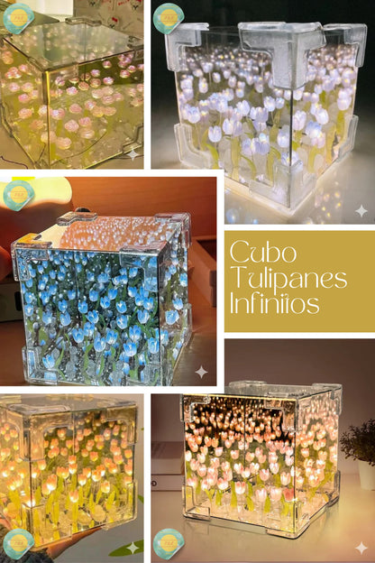 CUBO DE TULIPANES INFINITOS